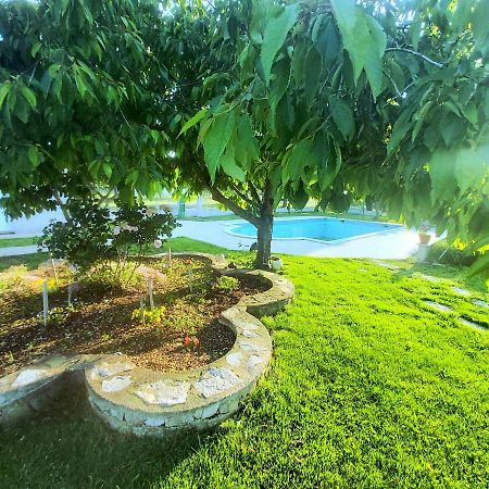 Kaja House Apartments Lozovac Zewnętrze zdjęcie