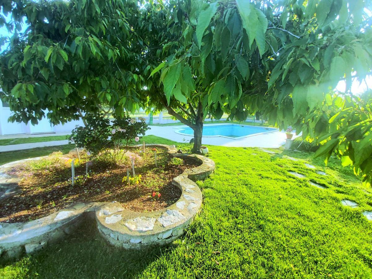 Kaja House Apartments Lozovac Zewnętrze zdjęcie