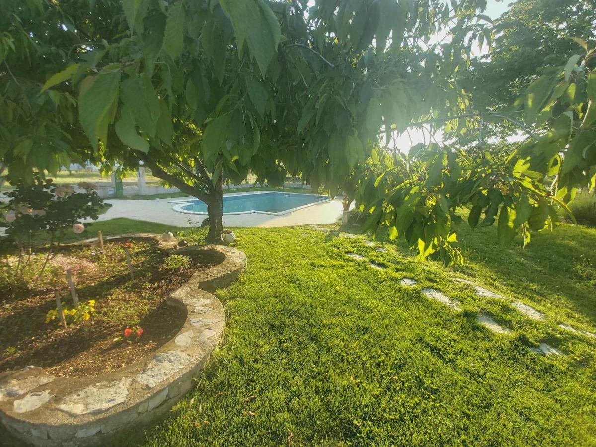 Kaja House Apartments Lozovac Zewnętrze zdjęcie
