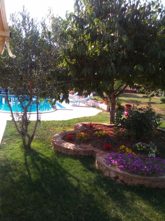 Kaja House Apartments Lozovac Zewnętrze zdjęcie