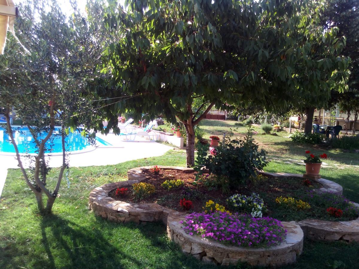 Kaja House Apartments Lozovac Zewnętrze zdjęcie